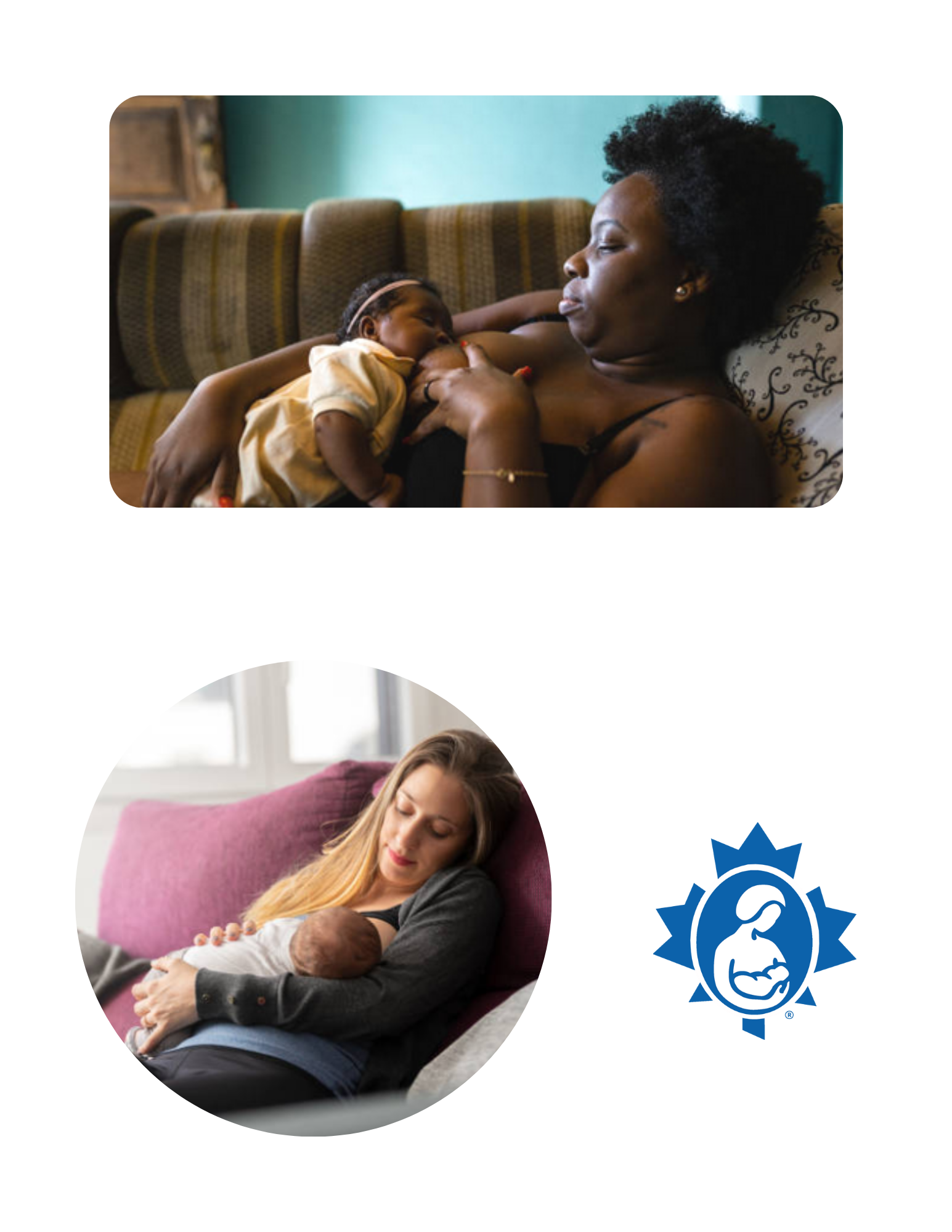 Establishing Your Milk Supply La Leche League Canada Breastfeeding